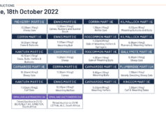 Online Auctions – Tuesday’s Calendar 18/10/2022