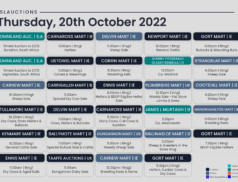 Online Auctions – Thursday’s Calendar 20/10/2022