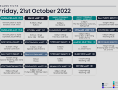 Online Auctions – Friday’s Calendar 21/10/2022