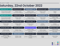 Online Auctions – Saturday’s Calendar 22/10/2022