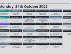 Online Auctions – Monday’s Calendar 24/10/2022