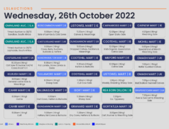 Online Auctions – Wednesday’s Calendar 26/10/2022