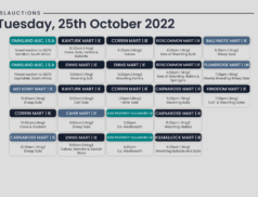 Online Auctions – Tuesday’s Calendar 25/10/2022