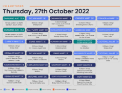 Online Auctions – Thursday’s Calendar 27/10/2022