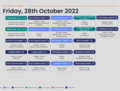 Online Auctions – Friday’s Calendar 28/10/2022