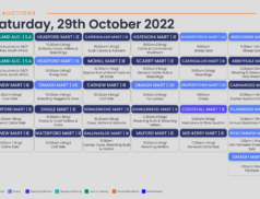 Online Auctions – Saturday’s Calendar 29/10/2022