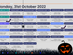 Online Auctions – Monday’s Calendar 31/10/2022