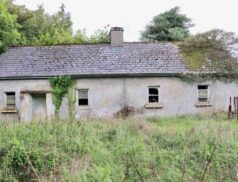 Eamonn Gaffney Cloncovet, Kilcogy, Co. Cavan 0311