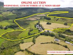 Hodnett Forde Property Glenbanoo Upper 1210