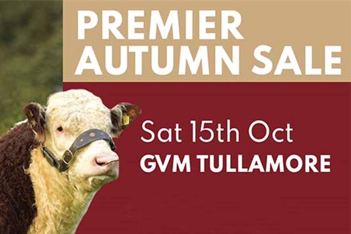 Irish Hereford Breed Society Autumn Show Sale