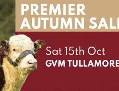 Irish Hereford Breed Society Autumn Show Sale