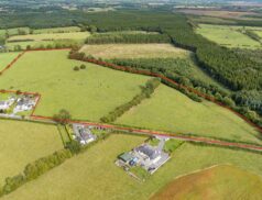 James L Murtagh Enniscoffey, Gainestown, Mullingar 2010