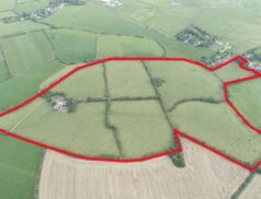 QUINN PROPERTY Ballygarrett, Gorey, Co. Wexford 0811