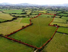 REA Eoin Dillon Killowney, Ballymackey, Nenagh County Tipperary 2610