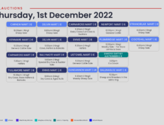 Online Auctions – Thursday's Calendar 01/12/2022