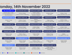 Online Auctions – Monday’s Calendar 14/11/2022