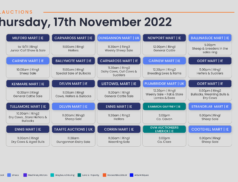 Online Auctions – Thursday’s Calendar 17/11/2022