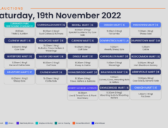 Online Auctions – Saturday’s Calendar 19/11/2022