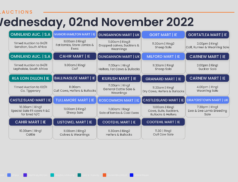 Online Auctions – Wednesday’s Calendar 02/11/2022