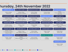 Online Auctions – Thursday’s Calendar 24/11/2022