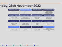 Online Auctions – Friday’s Calendar 25/11/2022