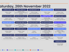 Online Auctions – Saturday’s Calendar 26/11/2022