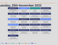 Online Auctions – Tuesday’s Calendar 29/11/2022