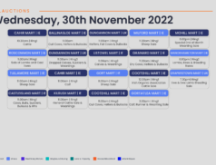 Online Auctions – Wednesday Calendar 30/11/2022