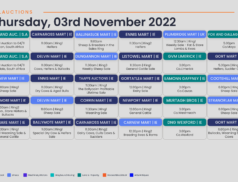Online Auctions – Thursday’s Calendar 03/11/2022