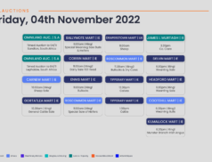 Online Auctions – Friday’s Calendar 04/11/2022