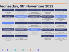 Online Auctions – Wednesday’s Calendar 09/11/2022