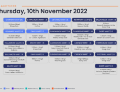 Online Auctions – Thursday’s Calendar 10/11/2022