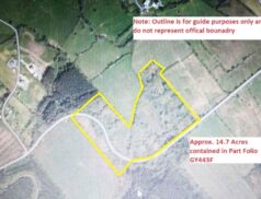 Colm Farrell Gardenblake, Peterswell, Gort, Co. Galway Lot 5 1612
