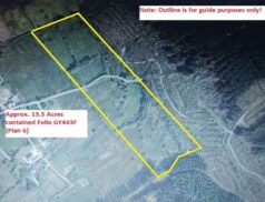 Colm Farrell Knockoura, Peterswell, Gort, Galway Lot 4