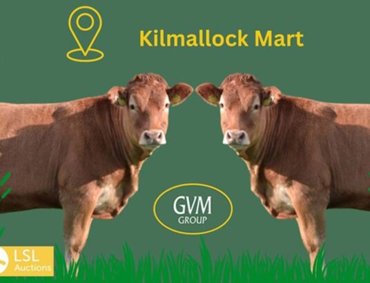 GVM Kilmallock Mart Organic Sale