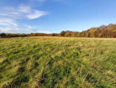 Potterton Balrinnet Carbury Co Kildare 0612