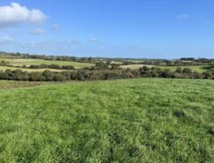 QUINN PROPERTY Ballyvadden, Oulart, Co. Wexford 1811