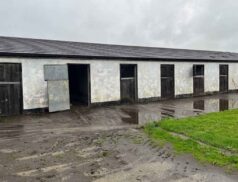 REA Potterton Rathfeigh Tara, Co Meath 0612