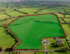 Raymond Potterton Bellewstown, Trim, Co. Meath 2211