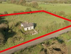 Raymond Potterton Killua, Clonmellon, Co. Westmeath 2311