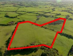 Raymond Potterton Moygrehan, Athboy, Co. Meath 2311