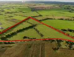 Raymond Potterton Piercetown, Kells, Co. Meath 2411