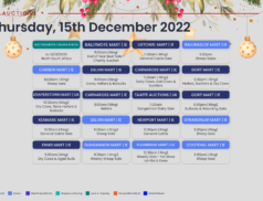 Online Auctions – Thursday’s Calendar 15/12/2022