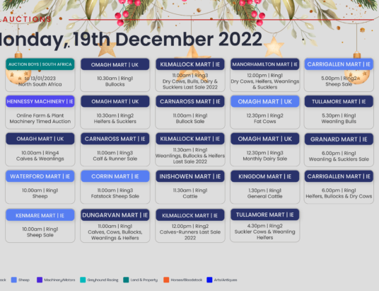 Online Auctions – Monday’s Calendar 19/12/2022