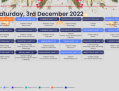 Online Auctions – Saturday’s Calendar 03/12/2022