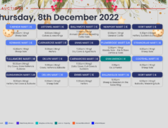 Online Auctions – Thursday’s Calendar 08/12/2022
