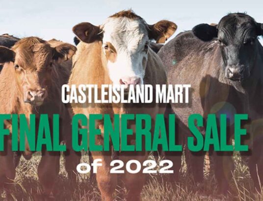 Castleisland Mart Final General Sale 2022