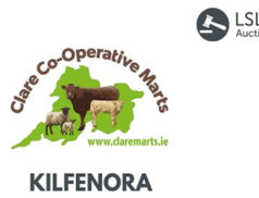 Kilfenora Mart Clare Marts