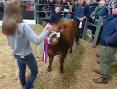Midland & Western Livestock Improvement Society Limited