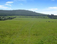QUINN PROPERTY Loggan, Gorey, Co. Wexford 0712